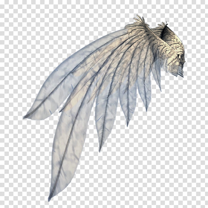 D object wings, gray wings transparent background PNG clipart