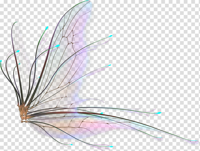 Recursos Alas Hada Y Mariposa  transparent background PNG clipart