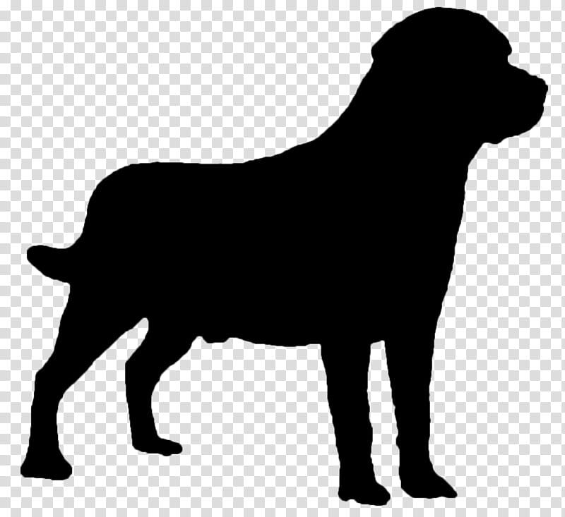 Dog Logo, Labrador Retriever, Sticker, Spain, Bull, Spanish Fighting Bull, Puppy, Spanish Language transparent background PNG clipart