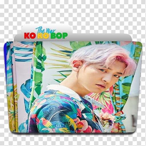 EXO KOKOBOP Folder Icons,  transparent background PNG clipart