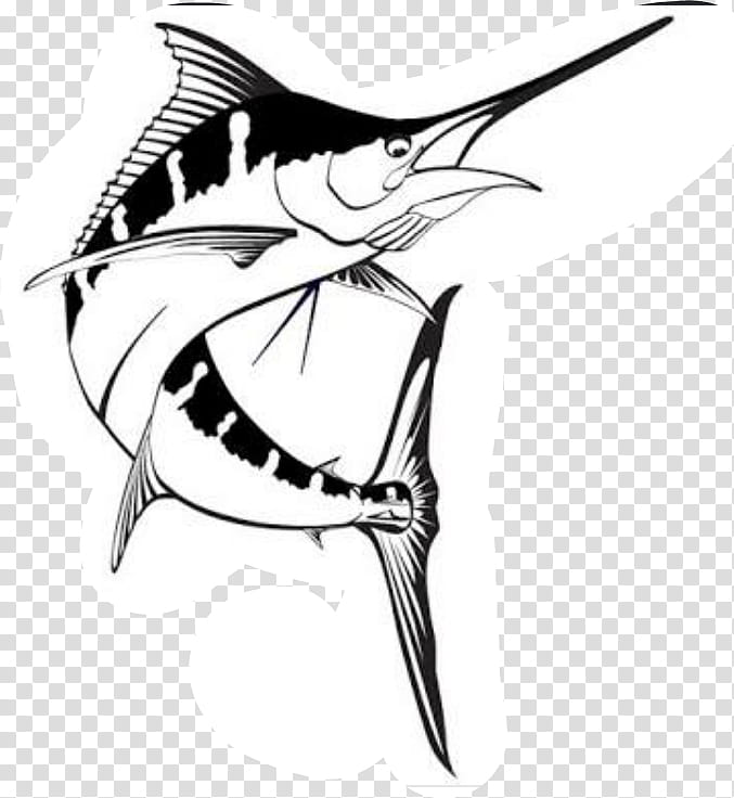Pencil, Marlin, Drawing, Billfish, Atlantic Blue Marlin, Marlin Fishing, How To Draw, Black Marlin transparent background PNG clipart