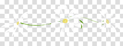 Daisy Divider, white version transparent background PNG clipart