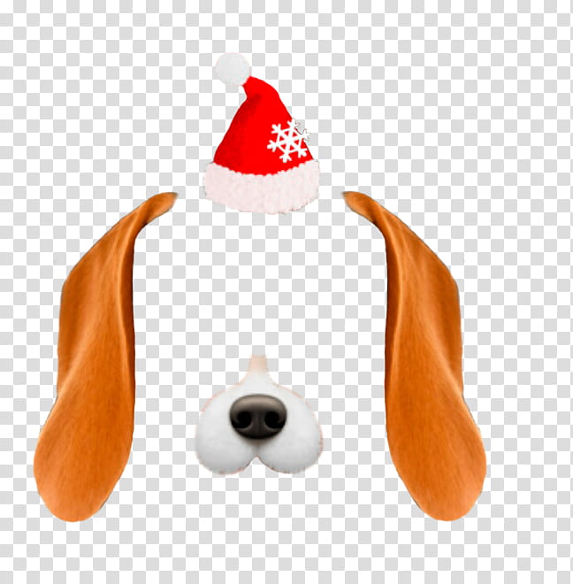 snow christmas , brown and white dog and Santa hat illustration transparent background PNG clipart