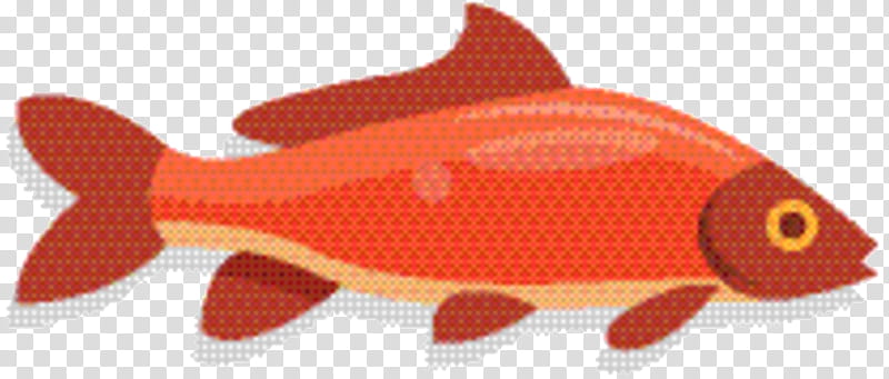 Fish, Northern Red Snapper, Biology, Redm, Orange, Sole transparent background PNG clipart