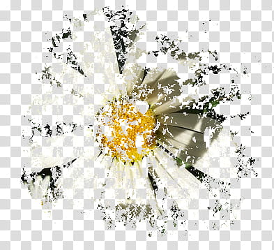 Distorted Flowers transparent background PNG clipart