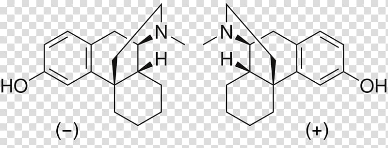 Tree Symbol, Acid, Cichoric Acid, Trifluoroacetic Acid, Benzyl Group, Fatty Acid, Gammalinolenic Acid, Drug transparent background PNG clipart