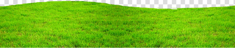 Nature , green grass field transparent background PNG clipart