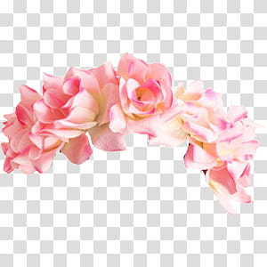 Flower Crowns, pink rose flower transparent background PNG clipart