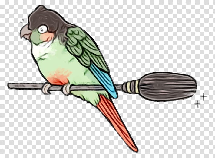 Feather, Watercolor, Paint, Wet Ink, Parrot, Macaw, Bird, Beak transparent background PNG clipart