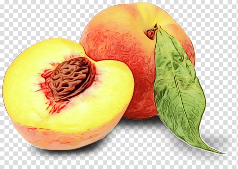 Peach Flower, Juice, Fruit, Food, Cherries, Flavor, Berries, Saturn Peach transparent background PNG clipart