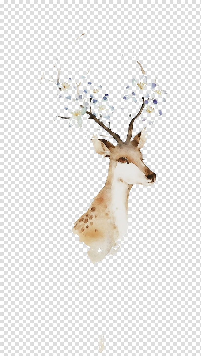 Reindeer, Watercolor, Paint, Wet Ink, Wildlife, Roe Deer, Branch, Antler transparent background PNG clipart