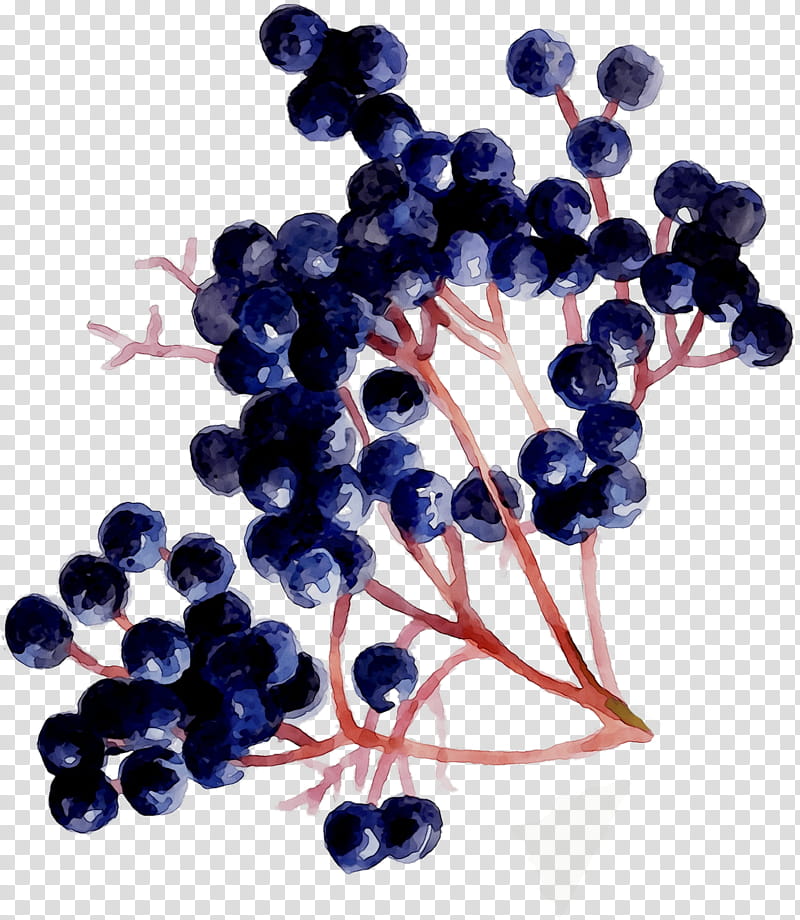 Blue Flower, Grape, Zante Currant, Blueberry, Bilberry, Grape Seed Extract, Superfood, Cobalt Blue transparent background PNG clipart