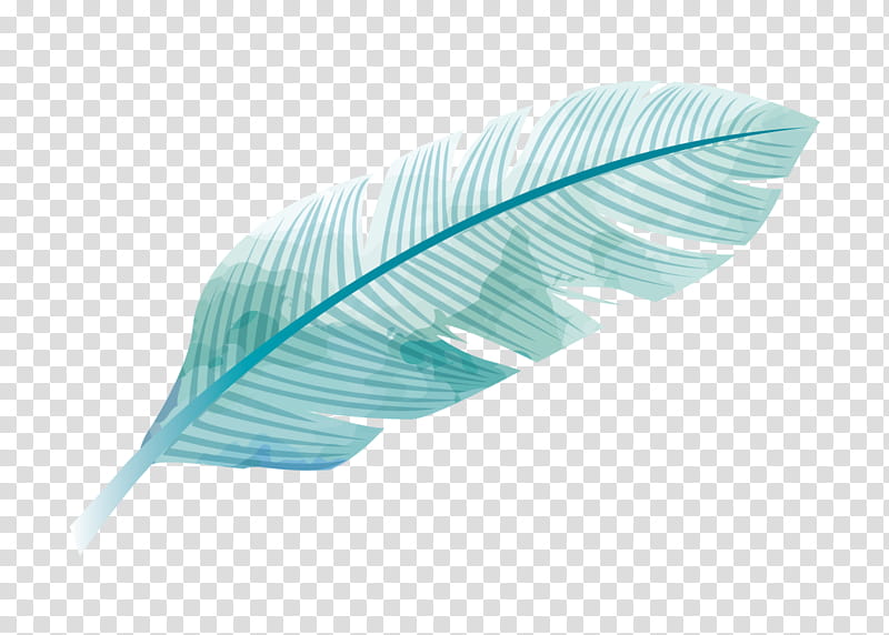 Wedding Family, Penang, Event , grapher, Feather, Infant, Turquoise, Malaysia transparent background PNG clipart