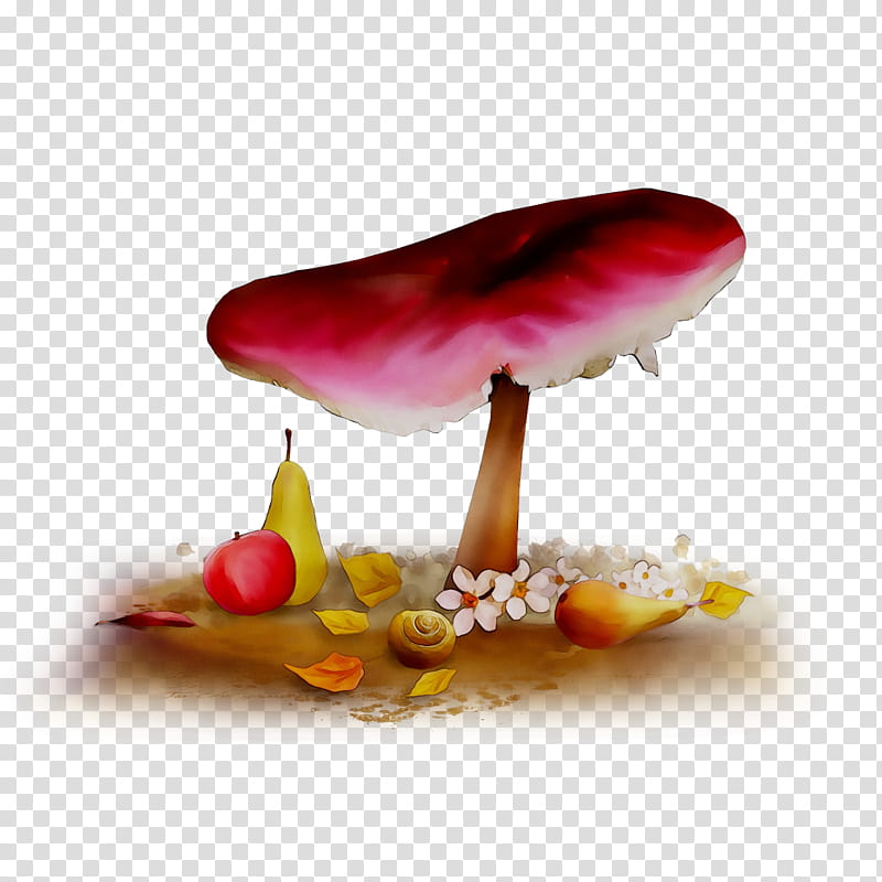 Autumn Design, Night, Mushroom, Blog, Flat Design, Animation, Still Life , Petal transparent background PNG clipart