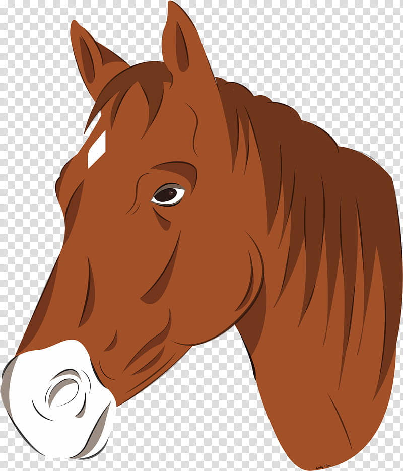 horse hair mane sorrel head, Nose, Brown, Cartoon transparent background PNG clipart