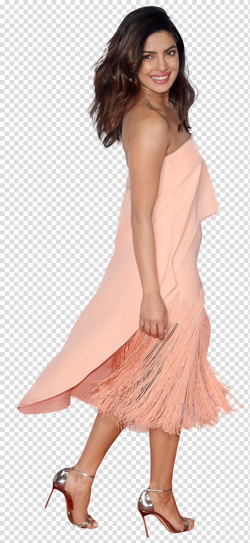 Priyanka Chopra transparent background PNG clipart