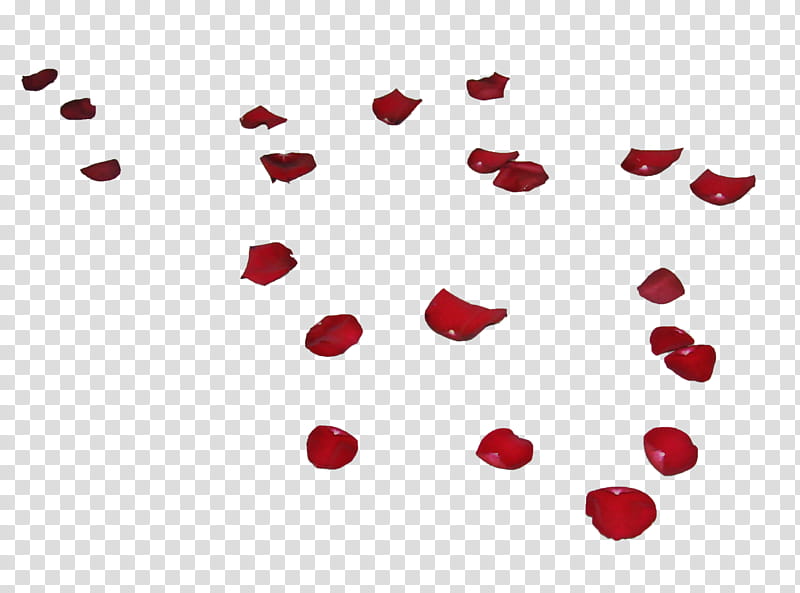 Red rose Petals III, red rose petals template transparent background PNG clipart