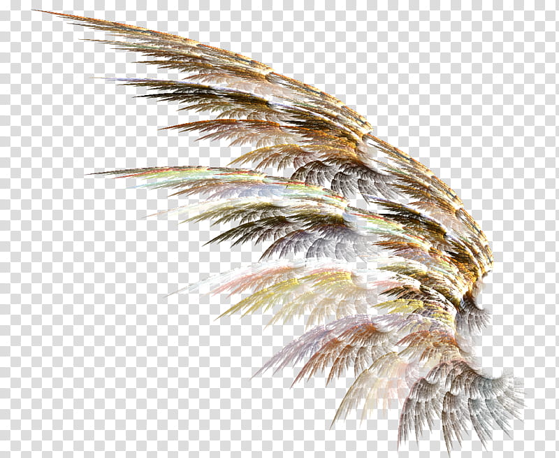 Fractal Wings , brown and white wing illustration transparent background PNG clipart