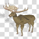 Spore creature Irish Elk buck transparent background PNG clipart