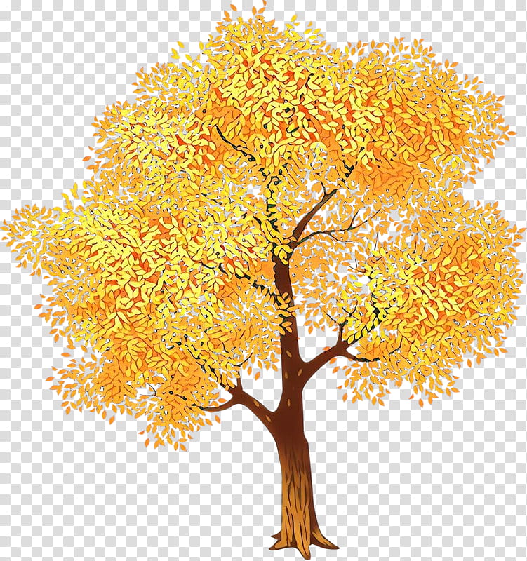 Plane, Tree, Yellow, Woody Plant, Leaf, Autumn, Branch, Flower transparent background PNG clipart