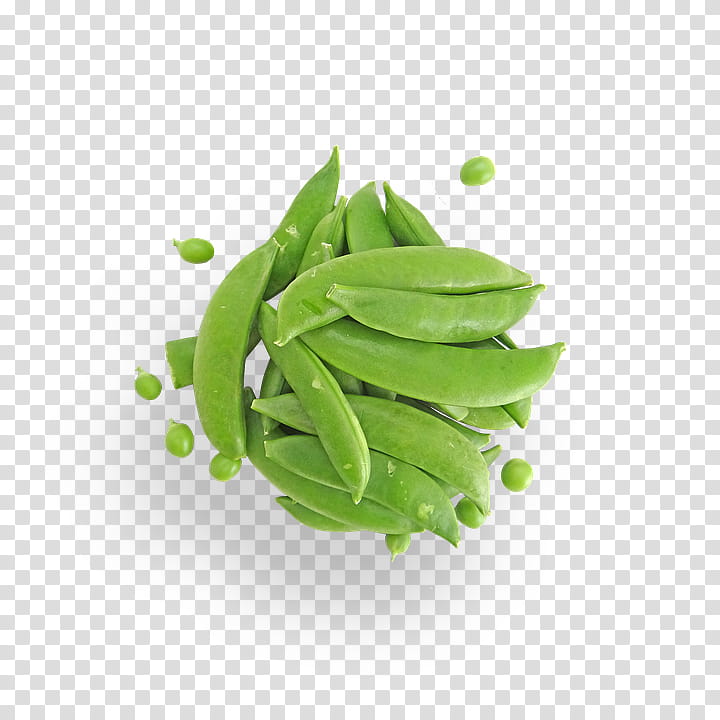 Family Tree, Snap Pea, Snow Pea, Food, Vegetable, Vegetarian Cuisine, Green Pea, Bean transparent background PNG clipart