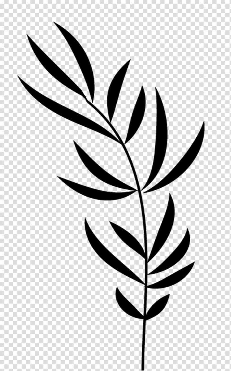 Trees and Twigs Brushes, black leaves illustration transparent background PNG clipart