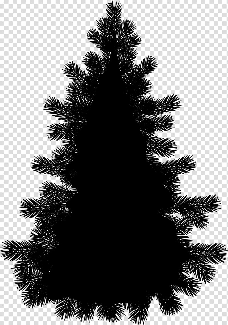 Christmas Black And White, Silhouette, Pine, Drawing, Tree, Cedar, Fir, Evergreen transparent background PNG clipart