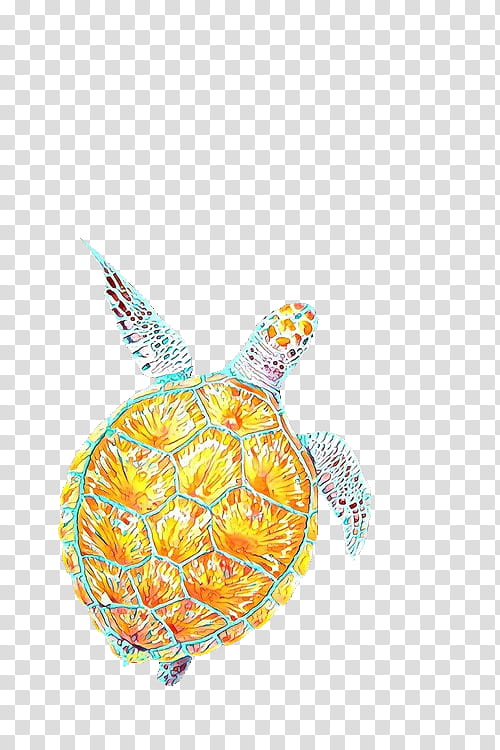 Sea Turtle, Pineapple, Fruit, Green Sea Turtle, Plant, Tortoise, Pond Turtle, Ananas transparent background PNG clipart