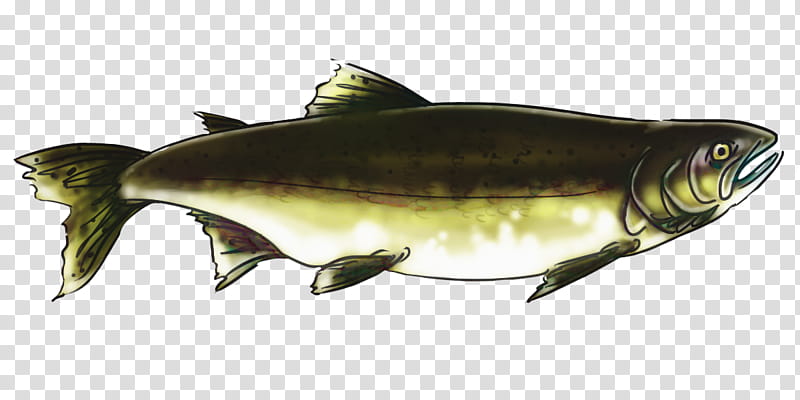 Mouth, Sardine, Milkfish, Salmon, Cod, Mackerel, Fish Products, Osmeriformes transparent background PNG clipart
