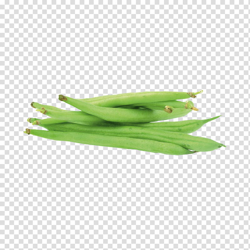 Onion, Green Bean, Plant Stem, Commodity, Scallion, Plants, Vegetable, Food transparent background PNG clipart