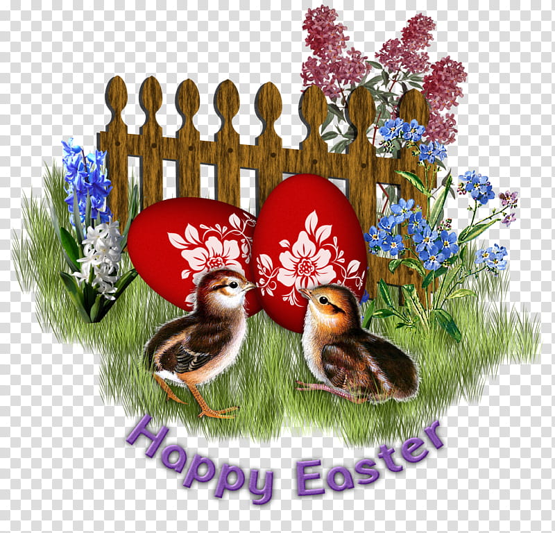 two brown chicks transparent background PNG clipart