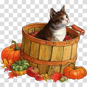 cute animals s, cat in wooden basket surrounded with vegetables and fruits transparent background PNG clipart