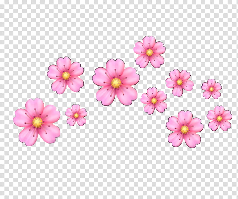 Cherry Blossom, Sticker, Emoji, Instagram, Wall Decal, Editing, Emoticon, Drawing transparent background PNG clipart
