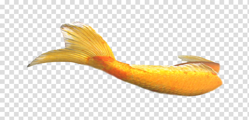 colas de sirenas, yellow fishtail illustration transparent background PNG clipart