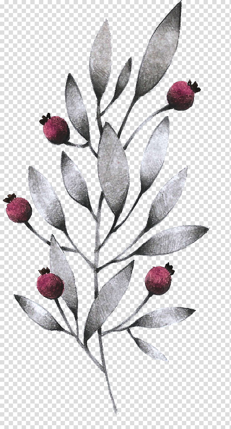 Flower Line Art, Leaf, Plants, Grey, Drawing, Plant Stem, Petal, transparent background PNG clipart
