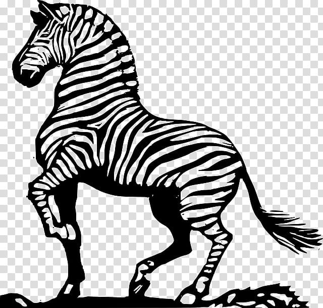Book Black And White, Drawing, Zebra, Cartoon, Coloring Book, Wildlife, Line Art, Animal Figure transparent background PNG clipart