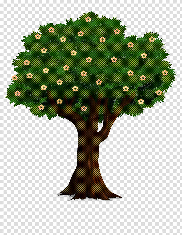 Arbor day, Tree, Plant, Woody Plant, Leaf, Grass, Trunk, Plane transparent background PNG clipart