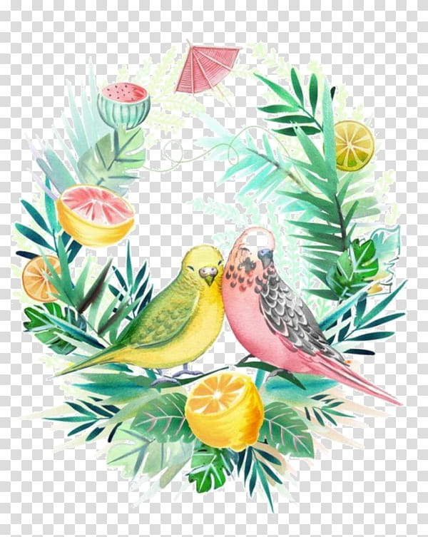 Bird Parrot, Floral Design, Beak, Fruit, Plants, Yellow, Branch, Finch transparent background PNG clipart