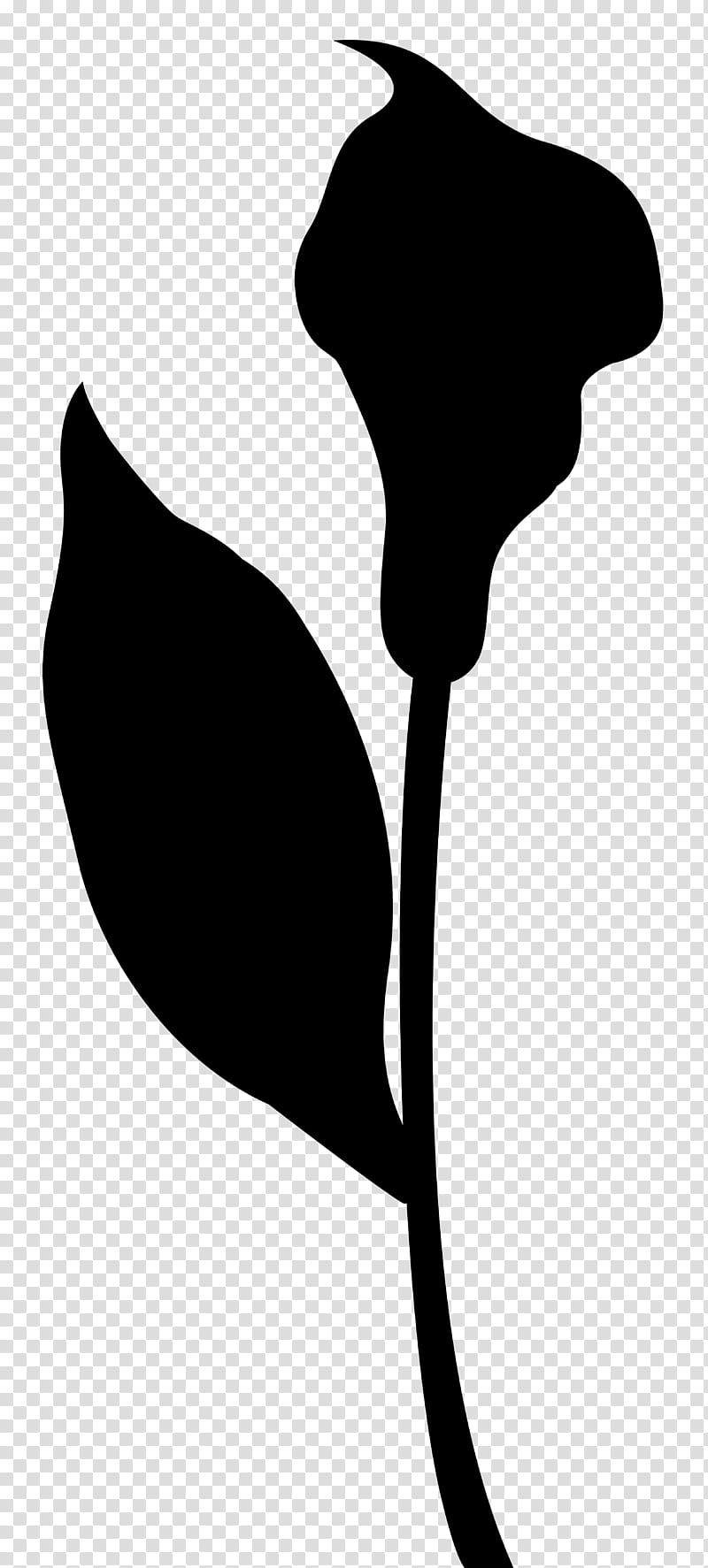Family Tree Silhouette, Leaf, Line, Neck, Blackandwhite, Plant, Anthurium, Arum Family transparent background PNG clipart