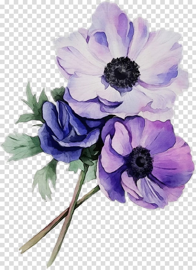Lavender, Watercolor, Paint, Wet Ink, Flower, Flowering Plant, Petal, Purple transparent background PNG clipart