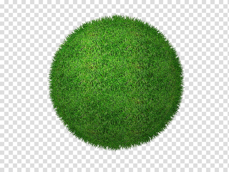 Green Grass, Lawn, Clover, Weed, Desktop , Web Design, Meadow, Plant transparent background PNG clipart