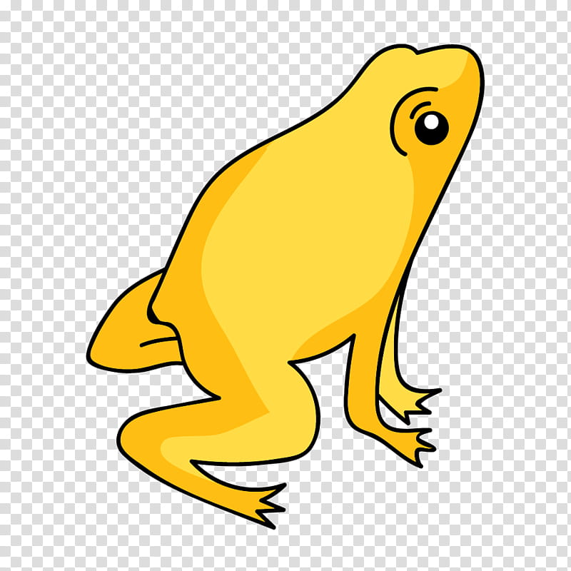 Yellow Tree, Toad, Frog, Tree Frog, American Bullfrog, Beak, Line, Animal Figure transparent background PNG clipart