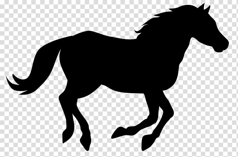 Hair, Horse, Sticker, Decal, Horse Live Trailers, Wall Decal, Equestrian Centre, Pony transparent background PNG clipart