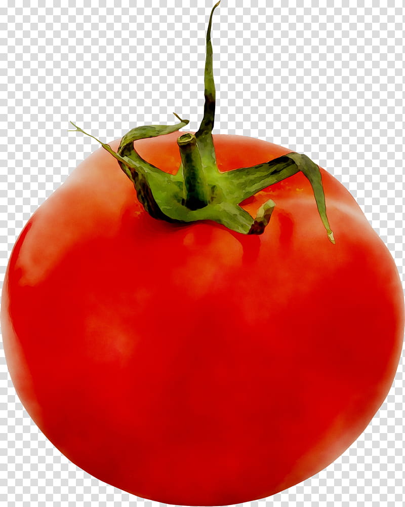 Tomato, Plum Tomato, Bush Tomato, Food, Diet Food, Natural Foods, Local Food, Orange Sa transparent background PNG clipart