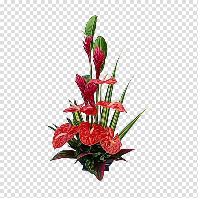 Bird Of Paradise, Garden Roses, Flower, Cut Flowers, Bird Of Paradise Flower, Leaf, Floral Design, Vase transparent background PNG clipart
