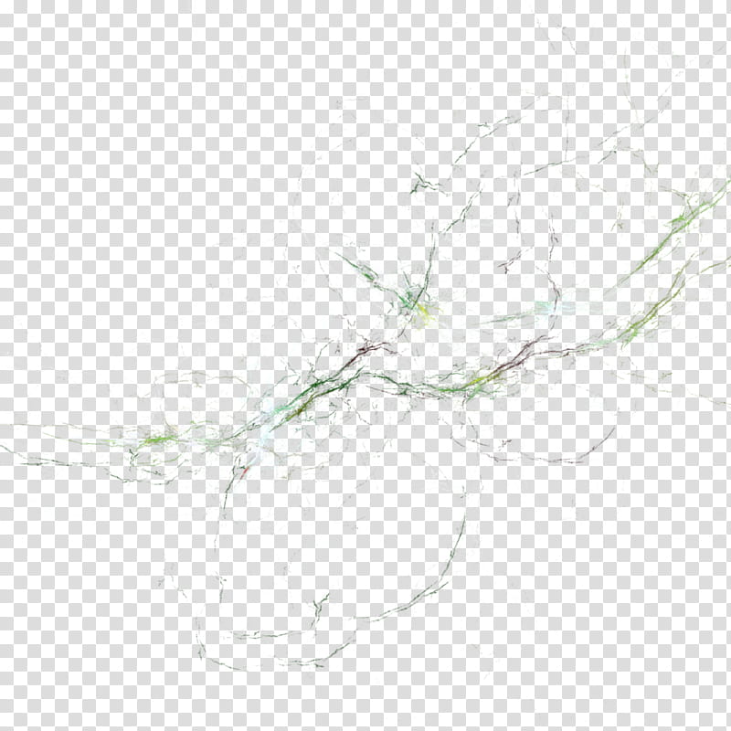 Apophysis-- transparent background PNG clipart