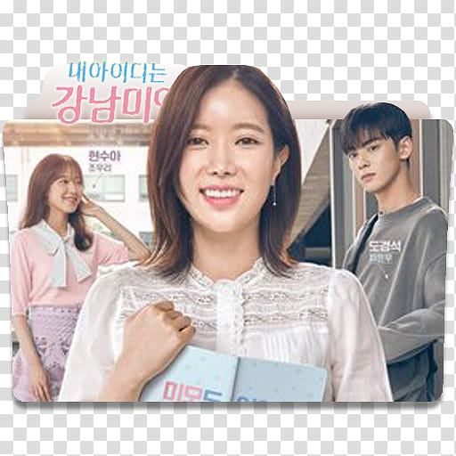 K Drama Gangnam Beauty Folder Icons , K-Drama My ID is Gangnam Beauty Folder Icon  transparent background PNG clipart