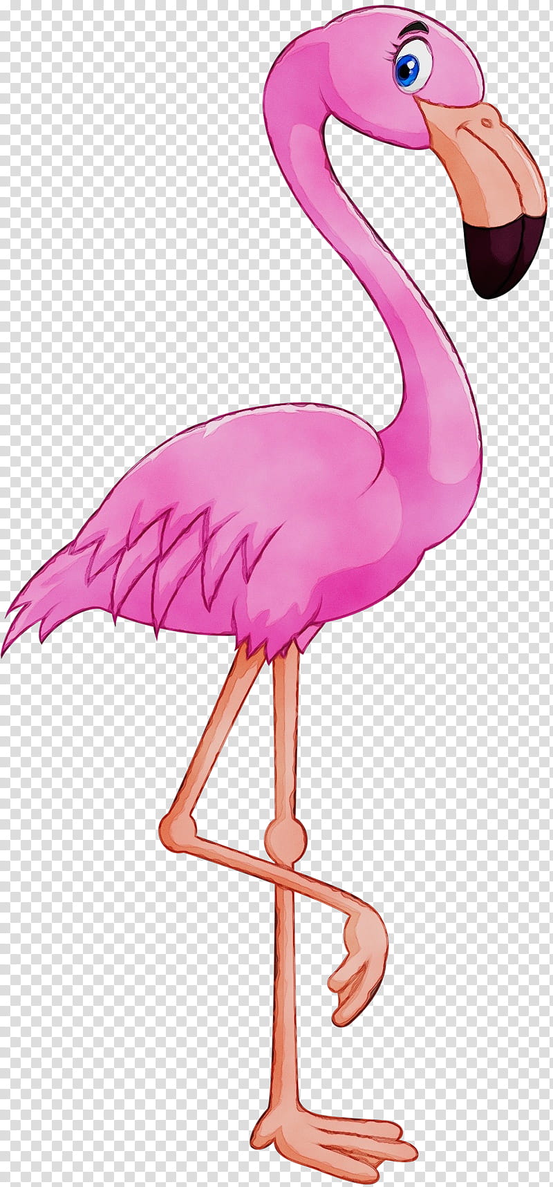 Flamingo Watercolor, Paint, Wet Ink, Greater Flamingo, Phoenicopterus, Tshirt, Flamenco, Pink transparent background PNG clipart