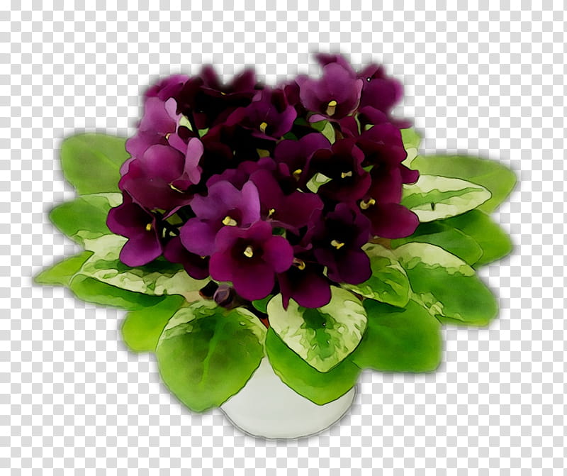 Bouquet Of Flowers, Violet, Herbaceous Plant, Plants, Violaceae, Purple, Petal, Flowerpot transparent background PNG clipart