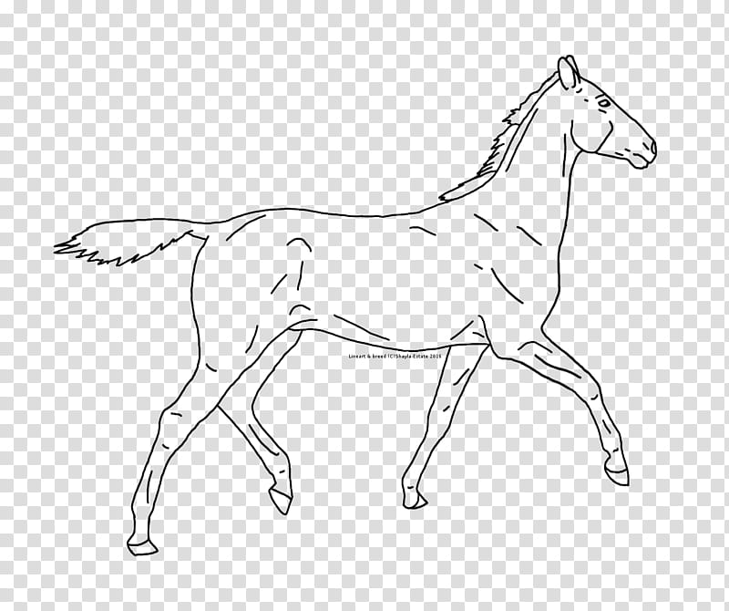 Lepa Mare Lines, black horse illustration transparent background PNG clipart